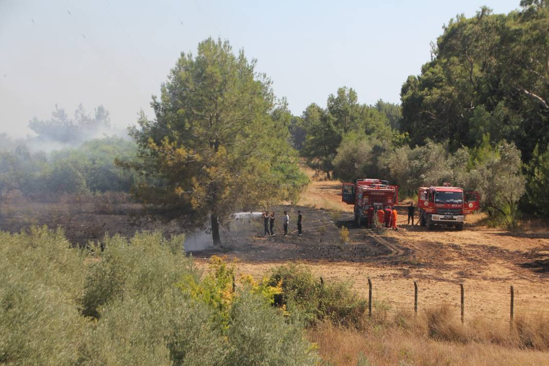 Otluk alanda başladı orman ve seralara sıçradı - Resim: 7